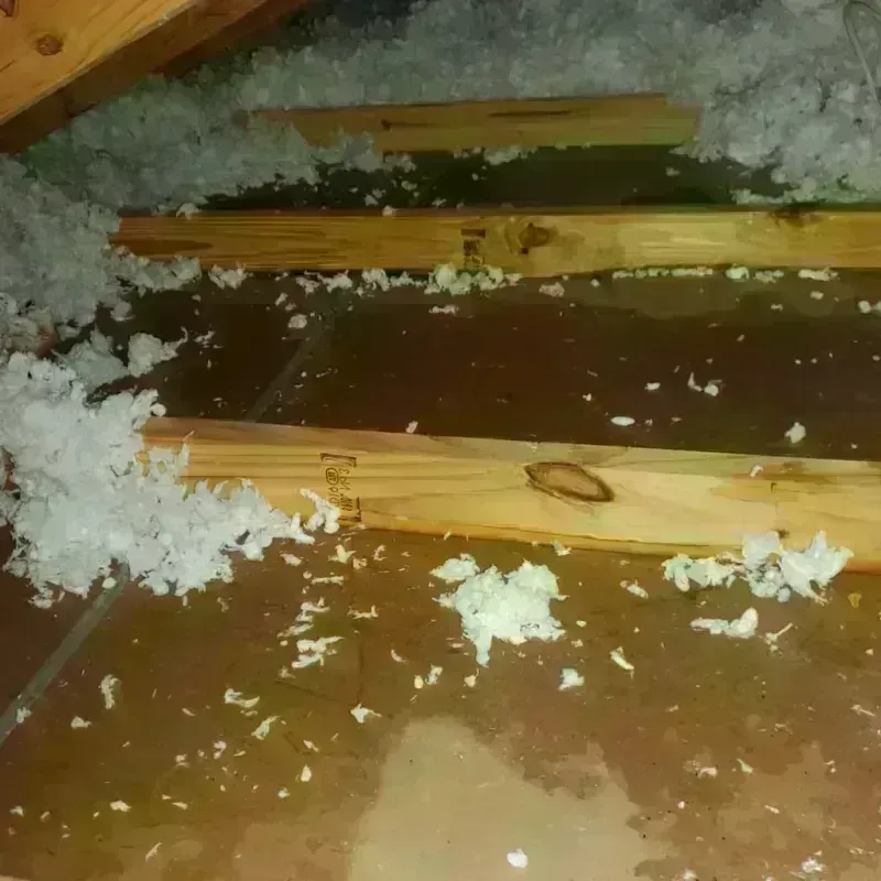 Attic Water Damage in Yorktown, VA