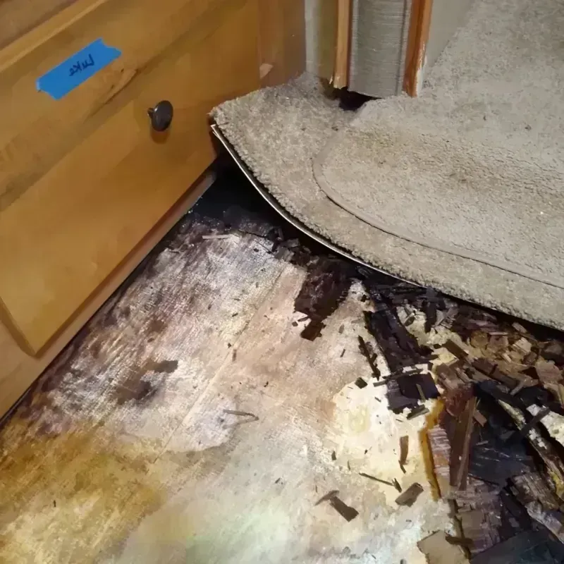 Wood Floor Water Damage in Yorktown, VA